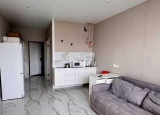 Сдаю 1-ком. квартиру, 22 м2, деревня Куюки, Молодёжная улица, 29