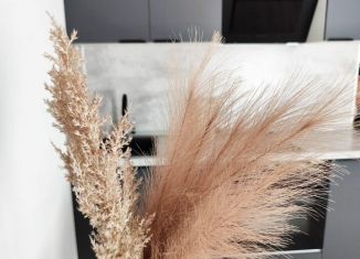 Аренда квартиры студии, 23.5 м2, Котельники, микрорайон Парковый, 14