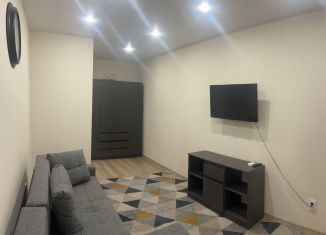 Аренда 1-комнатной квартиры, 35 м2, Краснодар, улица имени Дзержинского, 110А, микрорайон Горхутор