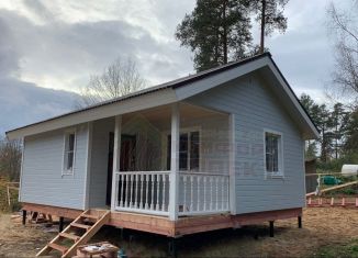 Продам дом, 48 м2, деревня Митькино, деревня Митькино, 113