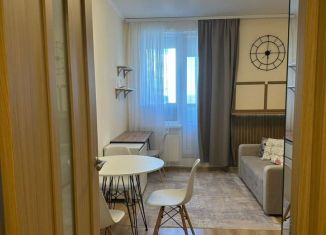 Продаю квартиру студию, 20.9 м2, Кудрово, Столичная улица, 11к3, ЖК Вернисаж