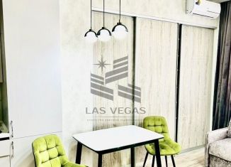 Аренда однокомнатной квартиры, 30 м2, Сочи, Санаторная улица, 50БлитБ, микрорайон Новый Сочи