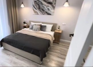 Сдается в аренду 1-комнатная квартира, 32.2 м2, Краснодар, Гражданская улица, 4, микрорайон Табачная Фабрика