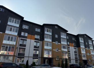 Продам однокомнатную квартиру, 43 м2, посёлок Путёвка, микрорайон Мегаполис-Парк, 4