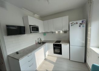 Сдам в аренду однокомнатную квартиру, 49 м2, Карелия, улица Хейкконена, 10