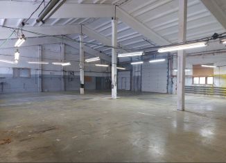 Сдам в аренду производство, 1200 м2, поселок Войсковицы, квартал Промзона № 2, 2к2