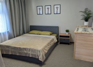 Сдаю дом, 45 м2, Краснодарский край, улица Луначарского, 35