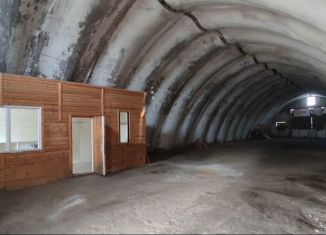 Сдам производство, 397.9 м2, Псковская область, улица Николая Васильева, 87А