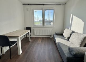 Сдаю в аренду квартиру студию, 20 м2, Санкт-Петербург, Муринская дорога, 31к3, метро Академическая