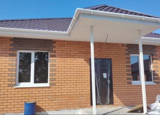 Продаю дом, 100 м2, деревня Паренкина