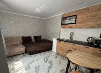 Продаю 1-комнатную квартиру, 32.6 м2, Сочи, Загородная улица, 20, микрорайон Мамайка