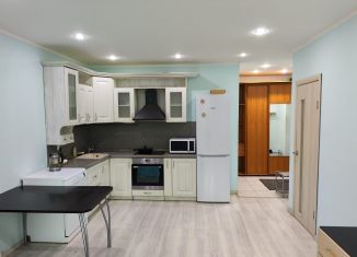 Сдаю в аренду двухкомнатную квартиру, 48 м2, Сыктывкар, проспект Бумажников, 50, Эжвинский район