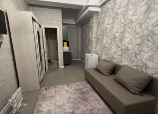 Сдаю в аренду квартиру студию, 25 м2, посёлок городского типа Дагомыс, Батумское шоссе, 123/48