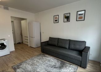 Сдаю в аренду квартиру студию, 25 м2, деревня Новое Девяткино, Главная улица, 8