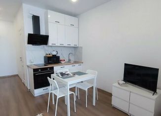 Сдаю в аренду квартиру студию, 29 м2, Краснодар, улица имени Дзержинского, 110А, микрорайон Горхутор