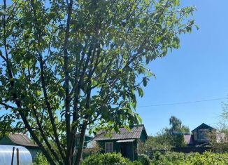 Продажа земельного участка, 4 сот., Йошкар-Ола, СНТ Мир, 11/11