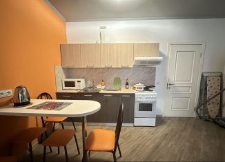 Сдам квартиру студию, 30 м2, Краснодар, улица имени М.Е. Соколова, 86к1, микрорайон Горхутор