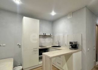 Квартира на продажу студия, 25.6 м2, Тюмень, Велижанская улица, 66к1, ЖК Заречный