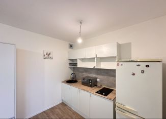 Квартира в аренду студия, 23 м2, Санкт-Петербург, Чарушинская улица, 26к1, метро Академическая