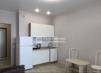 Сдам в аренду квартиру студию, 22 м2, деревня Новое Девяткино, Главная улица, 2