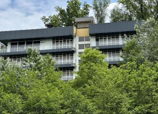 Продажа 1-ком. квартиры, 36 м2, Сочи, улица Плеханова, 53/14А, микрорайон Мамайка