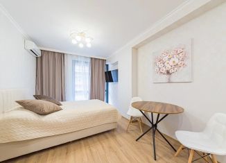 Продажа квартиры студии, 28 м2, Сочи, переулок Горького, 24, микрорайон Центральный