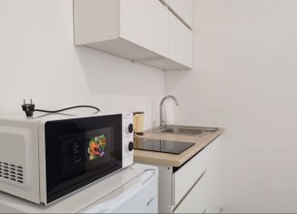 Квартира в аренду студия, 21.4 м2, Санкт-Петербург, Муринская дорога, 31к2, метро Академическая