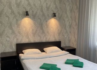 Аренда комнаты, 25 м2, курортный поселок Домбай, Тебердинская улица, 7