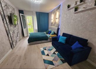 Продается 1-комнатная квартира, 29.9 м2, Карелия, Московская улица, 13
