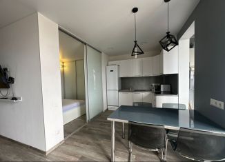 Сдается 1-ком. квартира, 55 м2, Сочи, улица Цюрупы, 32, микрорайон Новый Сочи