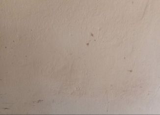 Гараж на продажу, 30 м2, Пласт