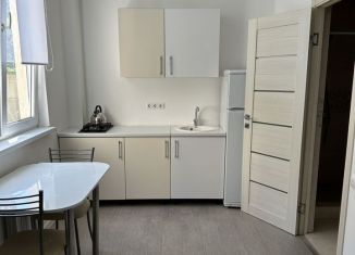 Квартира в аренду студия, 18 м2, Сочи, улица Верхняя Лысая Гора, 10/12