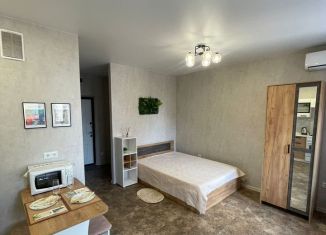 Сдается квартира студия, 30 м2, Краснодар, улица имени Героя Георгия Бочарникова, 14, микрорайон Губернский