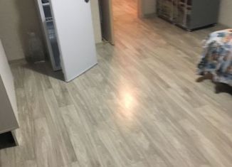 Аренда квартиры студии, 24 м2, Татарстан, улица Гайсина, 2Б