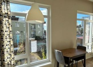 Продажа 1-комнатной квартиры, 29 м2, Сочи, Урожайная улица, 56/1