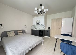 Аренда квартиры студии, 25 м2, Санкт-Петербург, улица Крыленко, 1к1с6, ЖК О'Юность