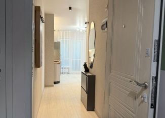 1-ком. квартира в аренду, 44 м2, посёлок Парголово, Кооперативная улица