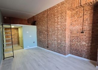 Продается квартира студия, 25 м2, Санкт-Петербург, проспект Римского-Корсакова, 107, метро Балтийская