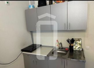 Продается квартира студия, 21.4 м2, Екатеринбург, улица Евгения Савкова, 23, метро Чкаловская