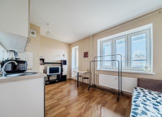 Продажа квартиры студии, 23.2 м2, посёлок Парголово, Толубеевский проезд, 24