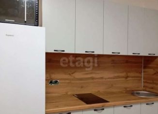 Сдам в аренду однокомнатную квартиру, 40 м2, Тюмень, улица Павла Шарова, 23А, ЖК Пятый квартал