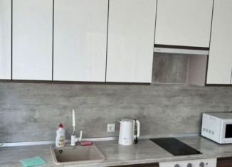 Аренда 1-комнатной квартиры, 60 м2, Санкт-Петербург, 5-й Предпортовый проезд, 2, 5-й Предпортовый проезд