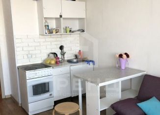 Продается квартира студия, 20 м2, Кудрово, Пражская улица, 15