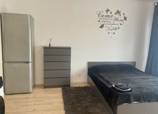 Сдаю квартиру студию, 25 м2, деревня Новое Девяткино, Главная улица, 8