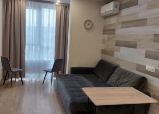 Продается квартира студия, 24 м2, Сочи, улица Плеханова, 1А, микрорайон Мамайка