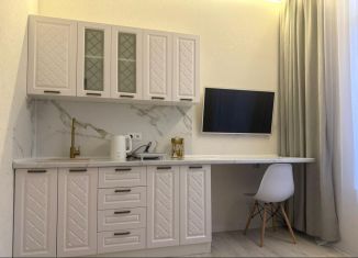 Продажа квартиры студии, 18 м2, Сочи, Молодогвардейская улица, 2/72Л, микрорайон Светлана