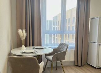 Сдается однокомнатная квартира, 35 м2, деревня Столбово, проспект Куприна