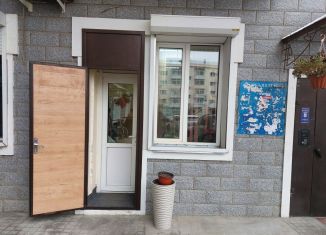 Продается помещение свободного назначения, 20.7 м2, Благовещенск, Красноармейская улица, 123