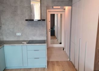 Сдача в аренду квартиры студии, 22 м2, Люберцы, улица Лётчика Ларюшина, 4к2