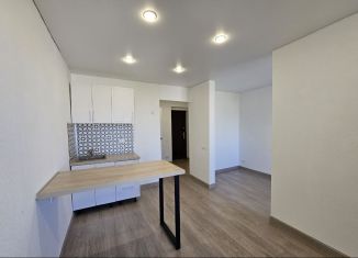 Продаю 1-комнатную квартиру, 22.7 м2, Челябинск, Новороссийская улица